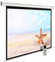Экран Cactus MotoExpert 138x220см (CS-PSME-220X138-WT) n19222 - фото 103550
