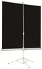 Экран Digis Kontur-D 248x189см MW (DSKD-4304) n19313 - фото 103632