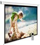 Экран Cactus MotoExpert 150x240см (CS-PSME-240X150-WT) n19224 - фото 104482