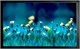 Экран Cactus FrameExpert 113x200см (CS-PSFRE-200X113) n19217 - фото 105069