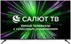 ЖК телевизор Hyundai 55 H-LED55BU7000 n18613 - фото 106814