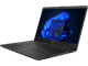 Ноутбук HP 255 G9 (6S6F5EA) n15662 - фото 109889
