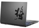 Ноутбук Colorful Evol X17 AT 23H1 (A10205400072) A742824 - фото 123219