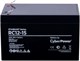 Аккумуляторная батарея CyberPower RC 12-15 n12317 - фото 73553