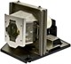 Лампа для проектора Optoma EP1690 (SP.85F01G00) n13769 - фото 73717
