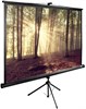 Экран Cactus TriExpert 135x180см (CS-PSTE-180Х135-BK) n19240 - фото 73844