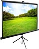 Экран Cactus TriExpert 150x200см (CS-PSTE-200Х150-BK) n19241 - фото 73859