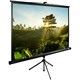 Экран Cactus TriExpert 200x200см (CS-PSTE-200Х200-BK) n18880 - фото 73878