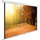 Экран Cactus WallExpert 125x200см (CS-PSWE-200X125-WT) n18888 - фото 73895