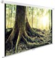 Экран Cactus WallExpert 220x220см (CS-PSWE-220X220-WT) n18895 - фото 73909