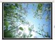 Экран Lumien Eco Control 220х220 Matte White n18986 - фото 74176