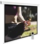 Экран Cactus MotoExpert 200x200см (CS-PSME-200X200-WT) n18862 - фото 74201