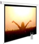 Экран Cactus MotoExpert 165x220см (CS-PSME-220X165-WT) n18860 - фото 74229