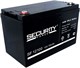 Аккумуляторная батарея Security Force SF 12100 n12685 - фото 74395