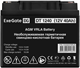 ИБП + батарея ExeGate FineSine SX-3000.LCD.AVR.2SH.T + 4x DT 1240 (40Ач) F665766 - фото 78098