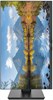 Монитор CBR 24  MD-2401 F728757 - фото 83668