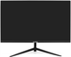 Монитор ExeGate 27  SmartView EZ2700A F664716 - фото 84260