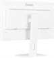 Монитор iiyama 27  ProLite XUB2797QSN-W1 F717267 - фото 84672