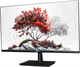 Монитор RDW Computers 27  RDW2701K (F00В3100V2A1) F719519 - фото 85679