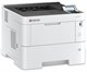 Принтер Kyocera Ecosys PA4500x F79872 - фото 97485
