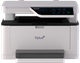 МФУ Fplus MB301DNW F672486 - фото 97891