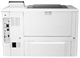 Принтер HP LaserJet Enterprise M507dn (1PV87A) F322682 - фото 98278